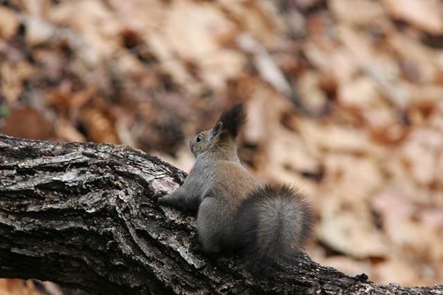 ���уL�����I