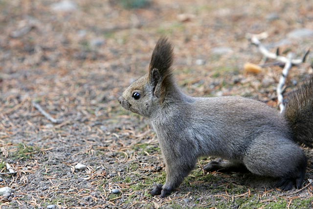 ?!����#%��