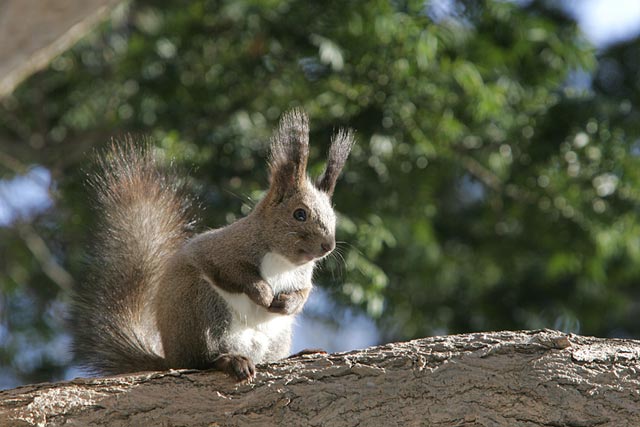 ��ǔL�����I�x������I