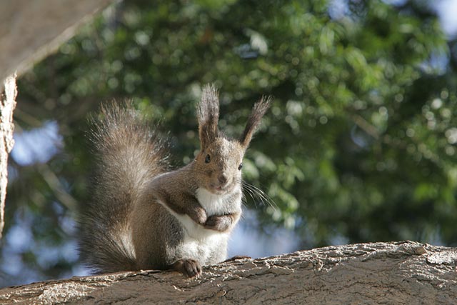 ����H���񂽂����܂������́H�@�͂��͂��A�Â��ƌ��Ă܂������