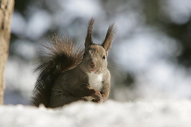 �����`��A���l�I�z�z