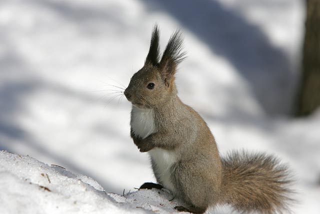 �Ȃ���������͋��ɁE�E�E