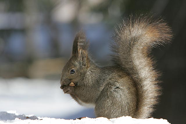 �K�c�K�c�B�����������`�B