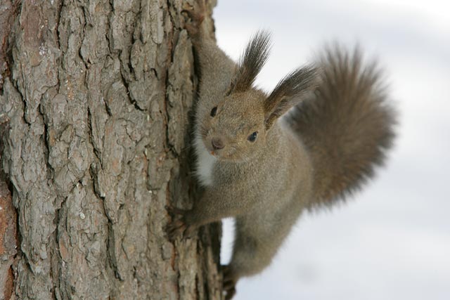 ���x���Ă��ώ@�͖O���܂���B�܂�������