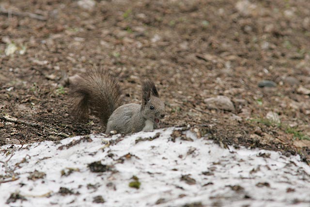 �Ⴊ���`���I�I