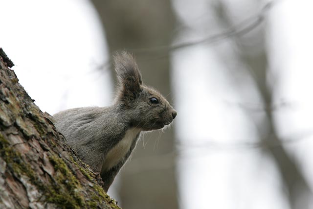 ���Ƃ͂܂��悾�Ȃ��E�E�E