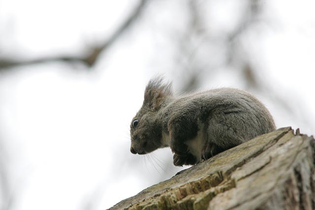 �����C����������