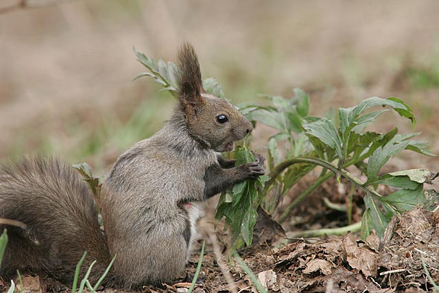 ���V�����V����