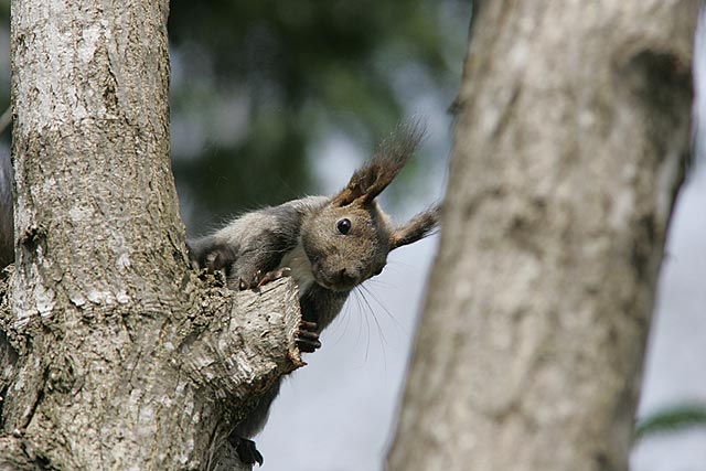 �ؓo�蓾�ӂł��B