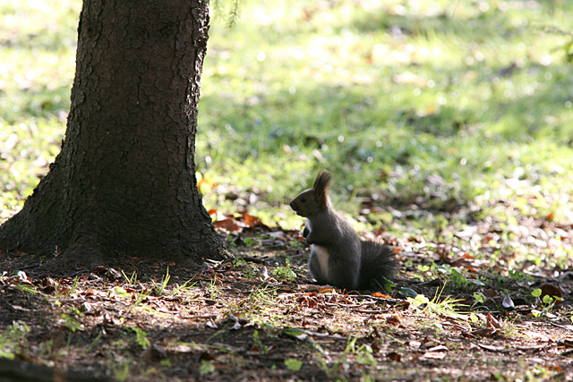 �����������������Ă���悤�ł��B