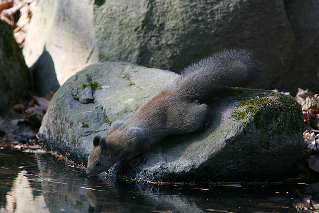 �s�`���s�`��