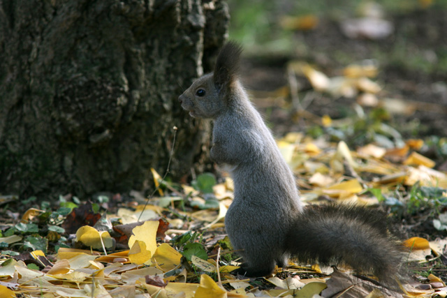 �������I