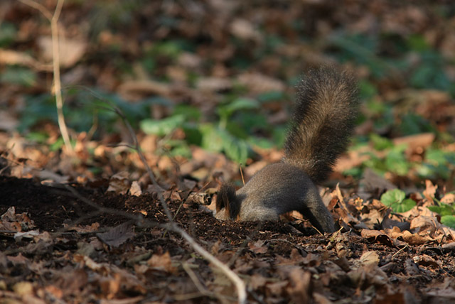 �悢����I�O�C�O�C�b�O�C�b�I