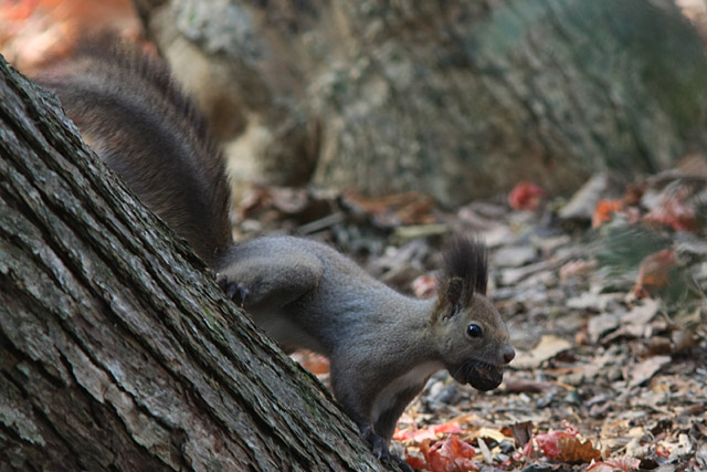 �������܂܁E�E�E