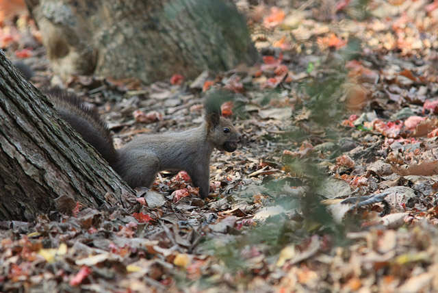 �l�q�����B