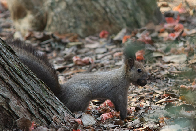 �l�q�����B