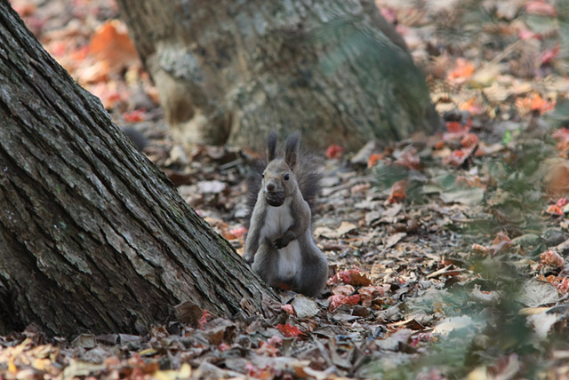 �Ȃ������オ��I