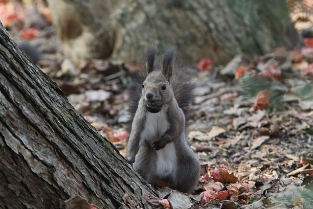 �Ȃ������オ��I