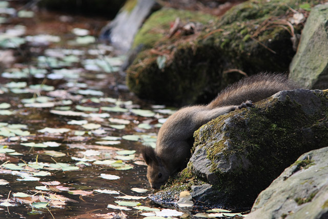 �₽���Ĕ���������