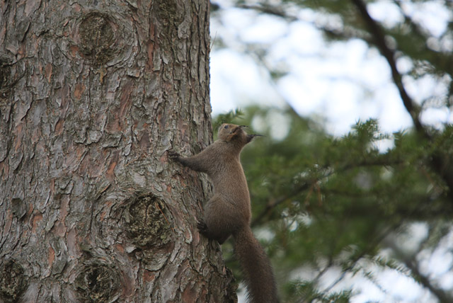 ��H�N������ȁI