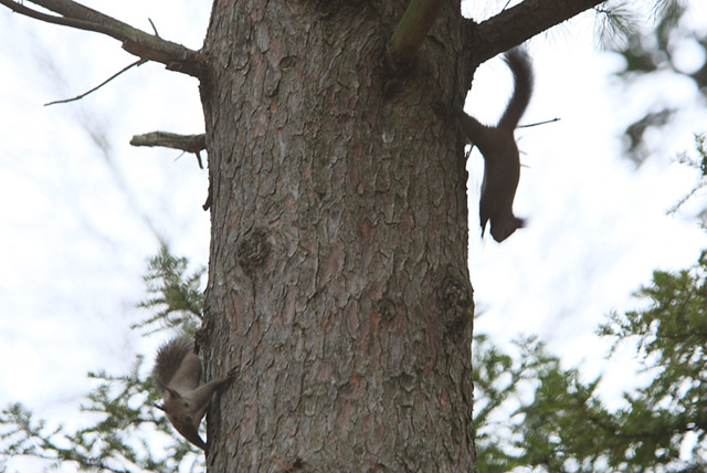 �ǂ����I�I�I�i�����ł���(^^�U�j