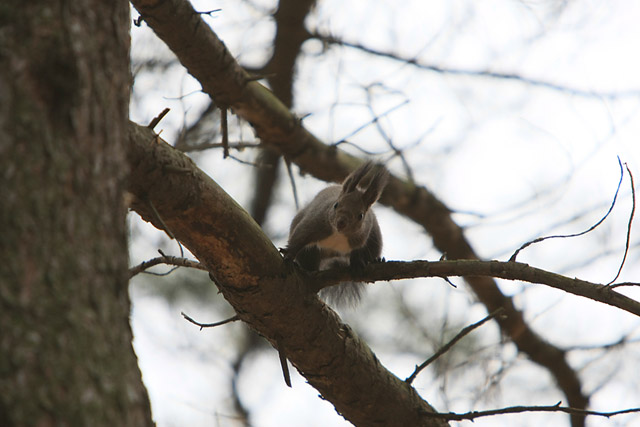 �N�B�A�ȂɌ��Ă�́H�E�E�E���Ȃ��ł���