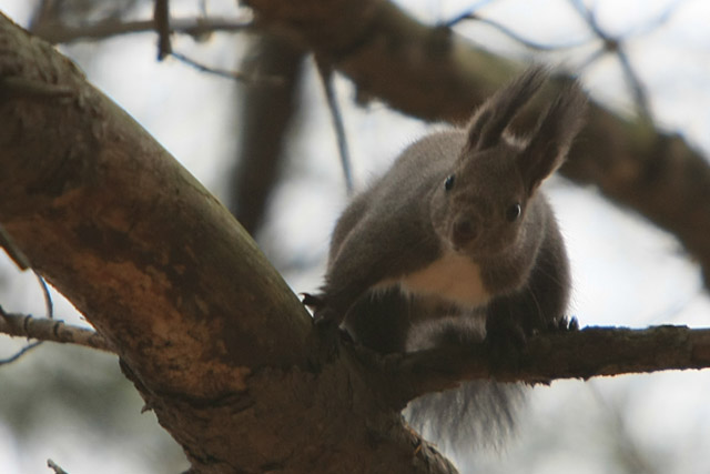 �N�B�A�ȂɌ��Ă�́H�E�E�E���Ȃ��ł���