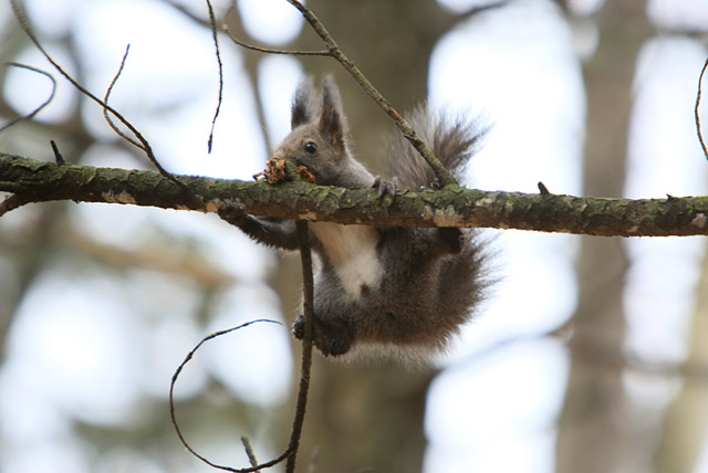 �������������~���`�I�I�I