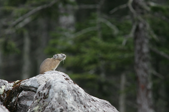 ���������镗���₽���ł��B