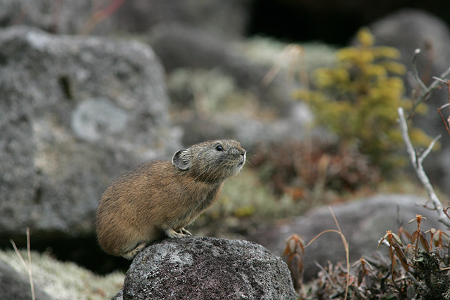 �����I���`��I