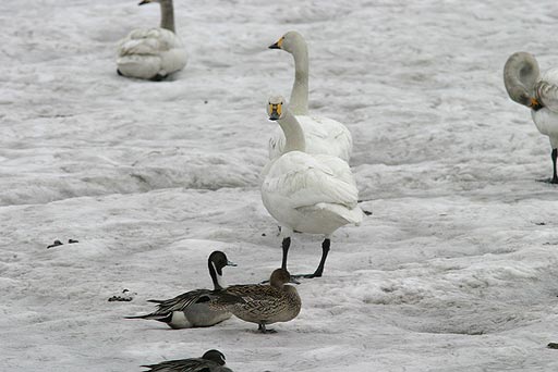 ��H�����������H