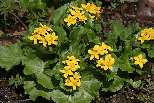 �G�]�m�����E�L���J