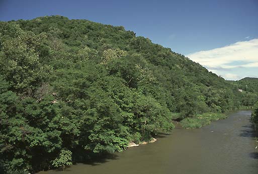 �V���̗��R����