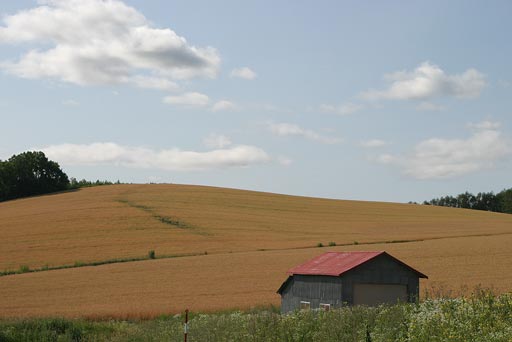 �������̋u