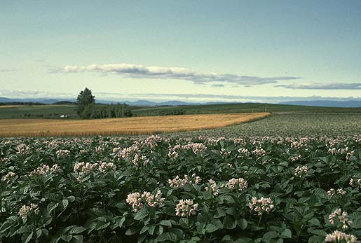 ���i7���j�����Ԑ���̃W���K�C����