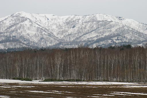 ���k�̕��i�B�ό��n�łȂ��Ă�����Ȍi�F�ł��B