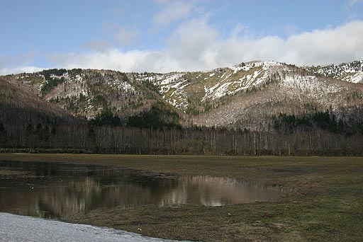 ���k�̕��i�B�ό��n�łȂ��Ă�����Ȍi�F�ł��B