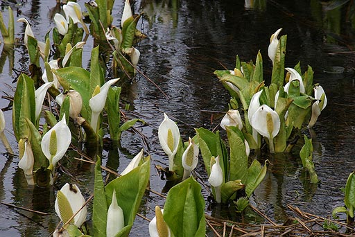 ������̐��񂾗���̒��E�E�E