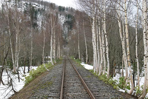 �����̗l�Ȍi�F�̒��A����؂��đ���I