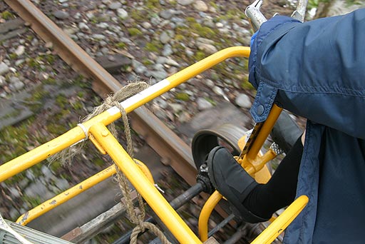 �S�g���S�g����