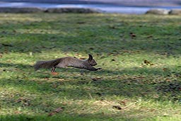 �N���b�N����Ɗg��ʐ^