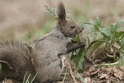 ���O���O�E�E�E���������I