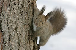 �N���b�N����Ɗg��ʐ^