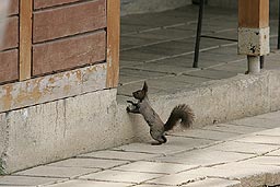 �N���b�N����Ɗg��ʐ^