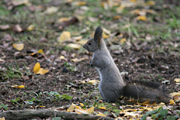 �N���b�N����Ɗg��ʐ^