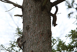 �N���b�N����Ɗg��ʐ^