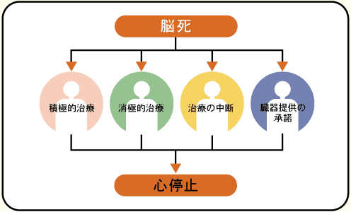 植物 状態 脳死