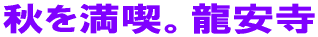 H𖞋iB 