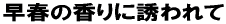 t̍ɗU