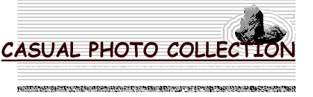 CASUAL PHOTO COLLECTION 
